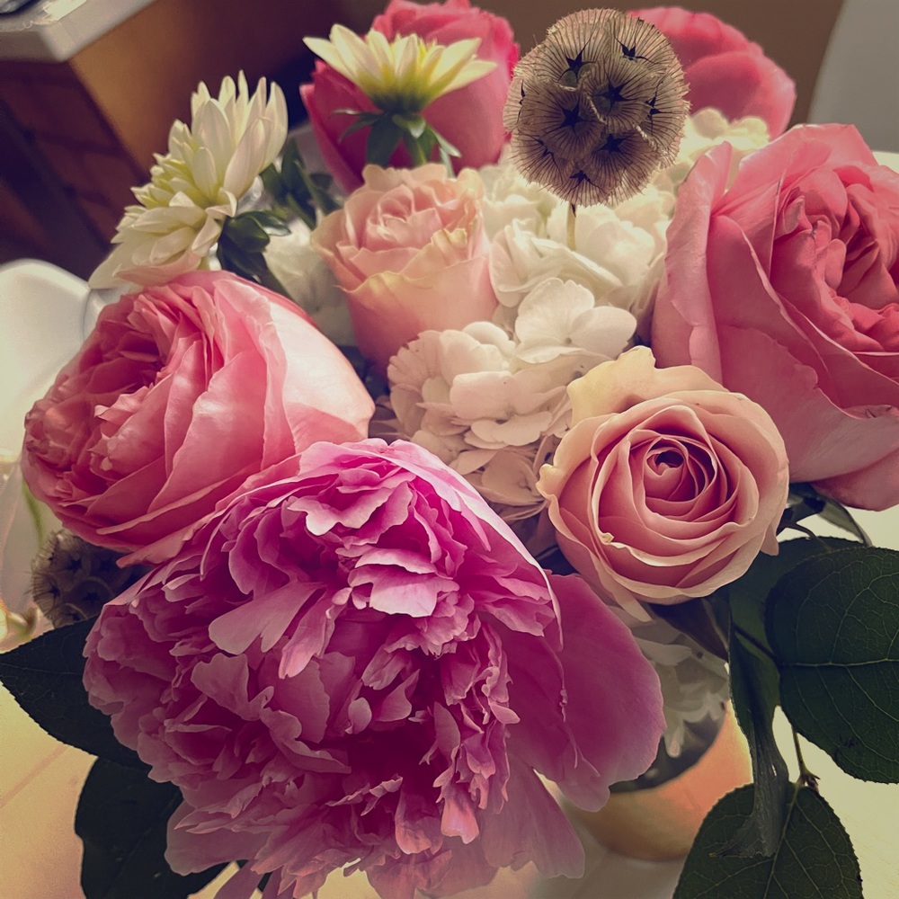 Meet your Posher, Alison